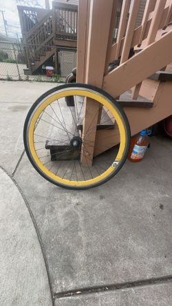 gator skin wheel