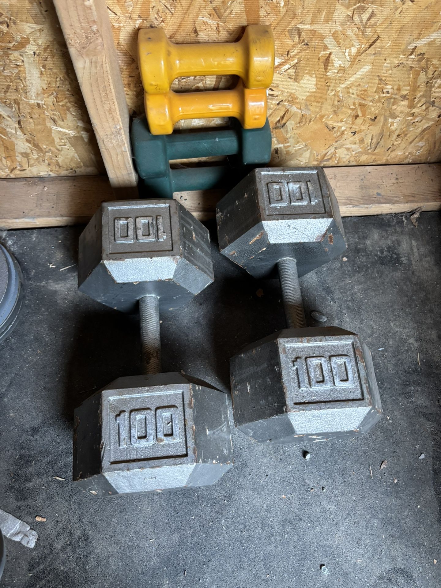 Dumbbells 2x100 Lbs