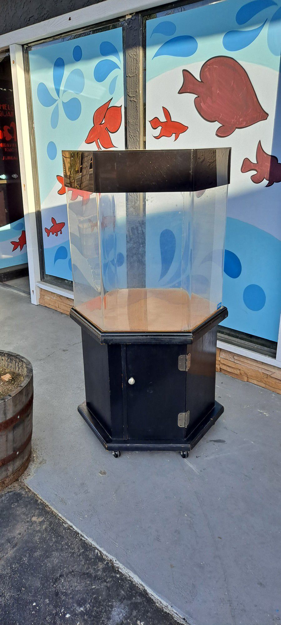 55 Gallon Acrylic Hexagon With Stand On Wheels And  Canopy