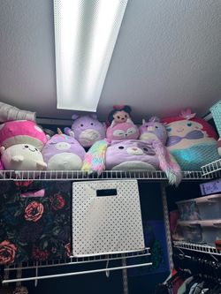 Squishmallows lot