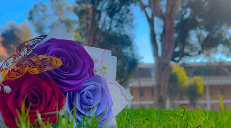3 Count 3 Color Bouquet