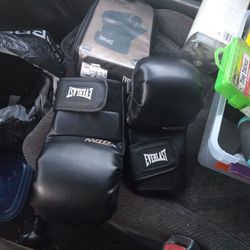 Everlast Titan Hybrid Gkoves