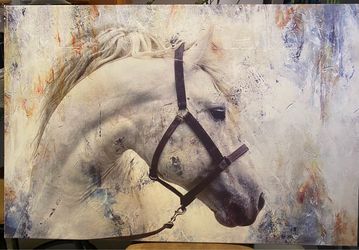 Large White Horse Canvas Wall Art