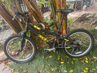 Youth GT stomper mountain bike