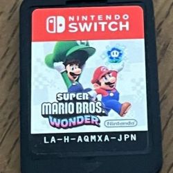 Nintendo switch mario wonder 