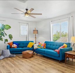 MCM Sofa Loveseat set