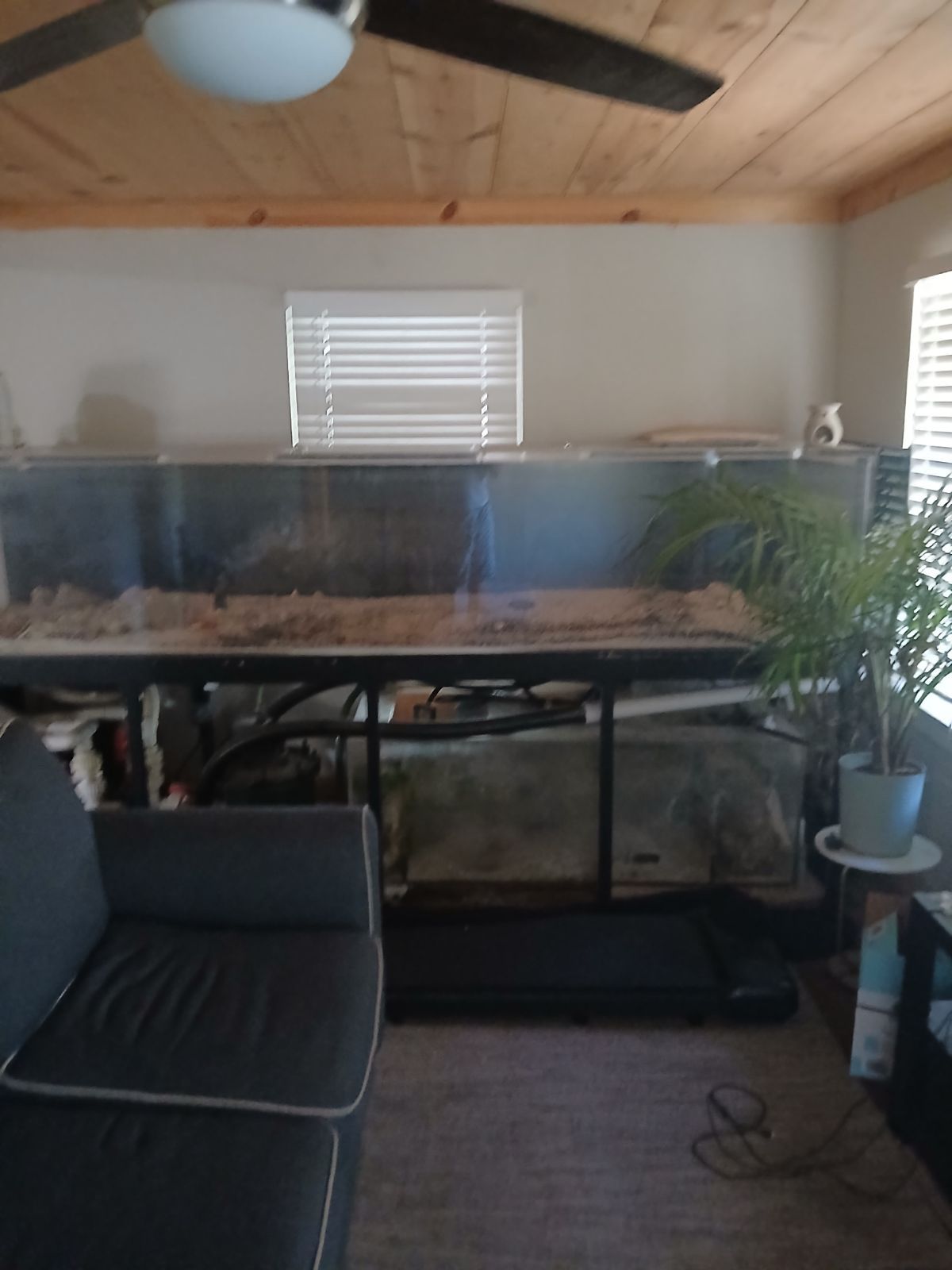 400Gal Fish Tank