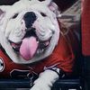 Georgiabulldogs