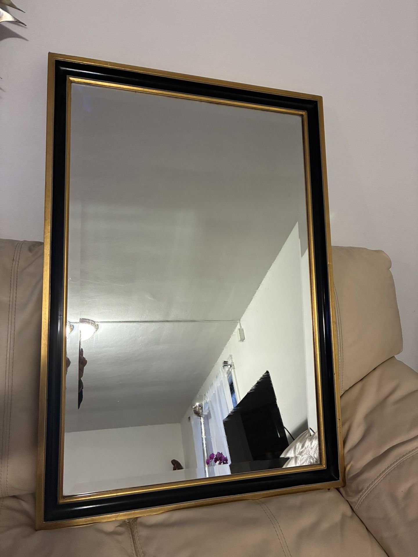 Gold And Black Frame Mirror 