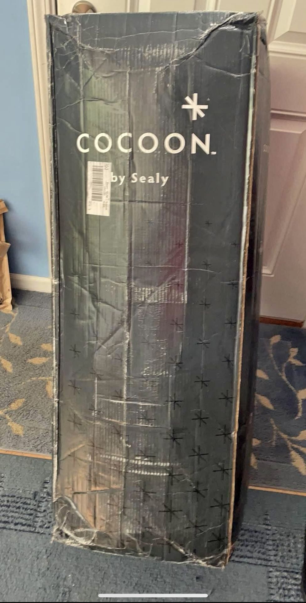 Sealy Cocoon Mattress 