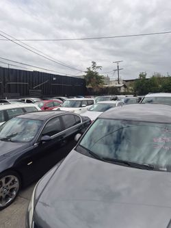 Public auto auctions