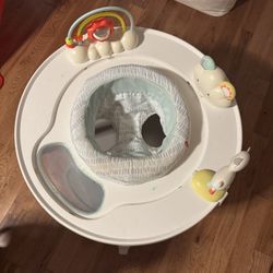 skip hop activity center