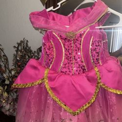 Disney Sleeping Beauty Dress