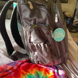 Diaper Bag And Booster Seat 