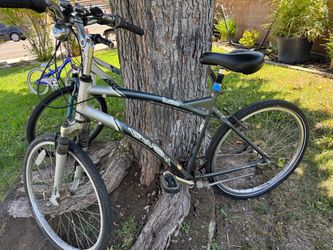 Del Sol Bicycle