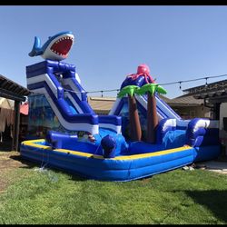 Extra Large Unique Water Slide