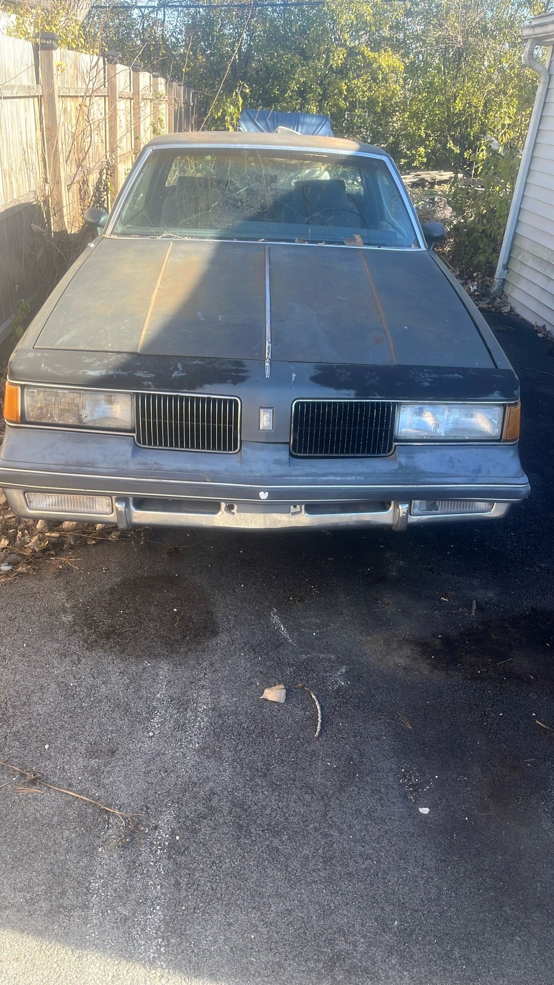 Project Cutlas 87 450 Motor 5000