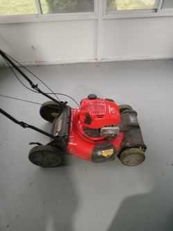 Mower and blower