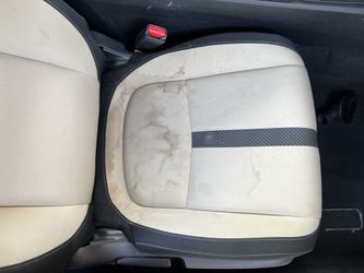 Shampoo Carpet And Seats