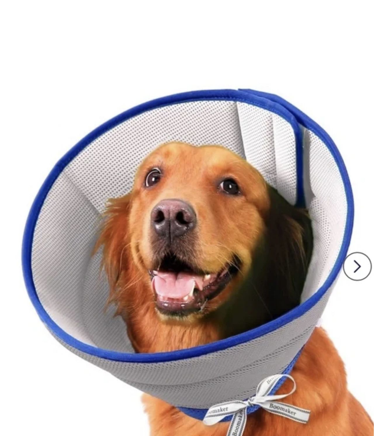 Dog Cone Collar
