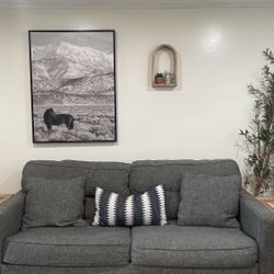 Grey Couch’s 