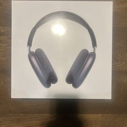 Apple airPods Max