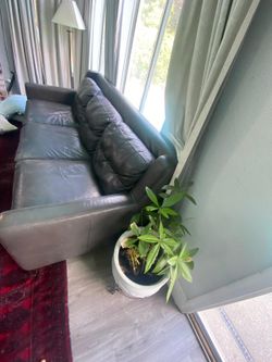 Free 2 Sofa leather