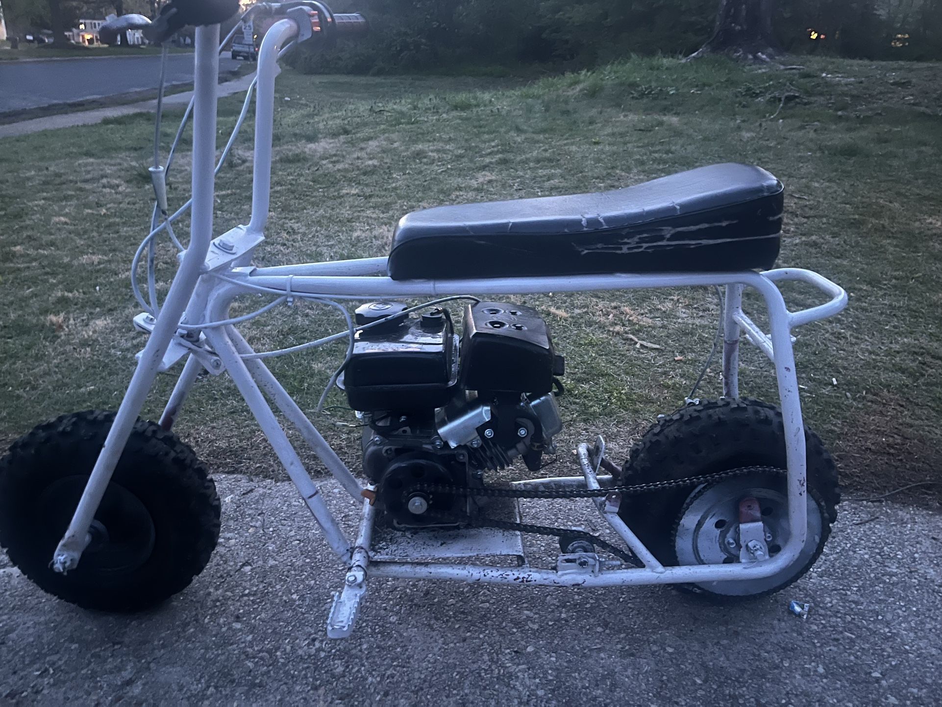 2000 Coleman White Mini Bike 