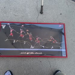 Michael Jordan Picture