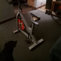 Sunny Health Fitness Exercise Bike