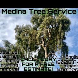Tree Trimming 