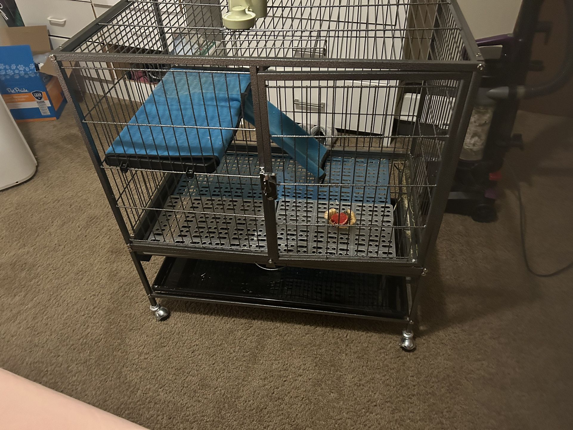 Guinea Pig/ Bird/ Small Animal Cage