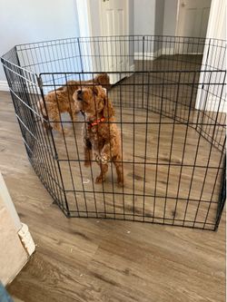 Puppy kennel