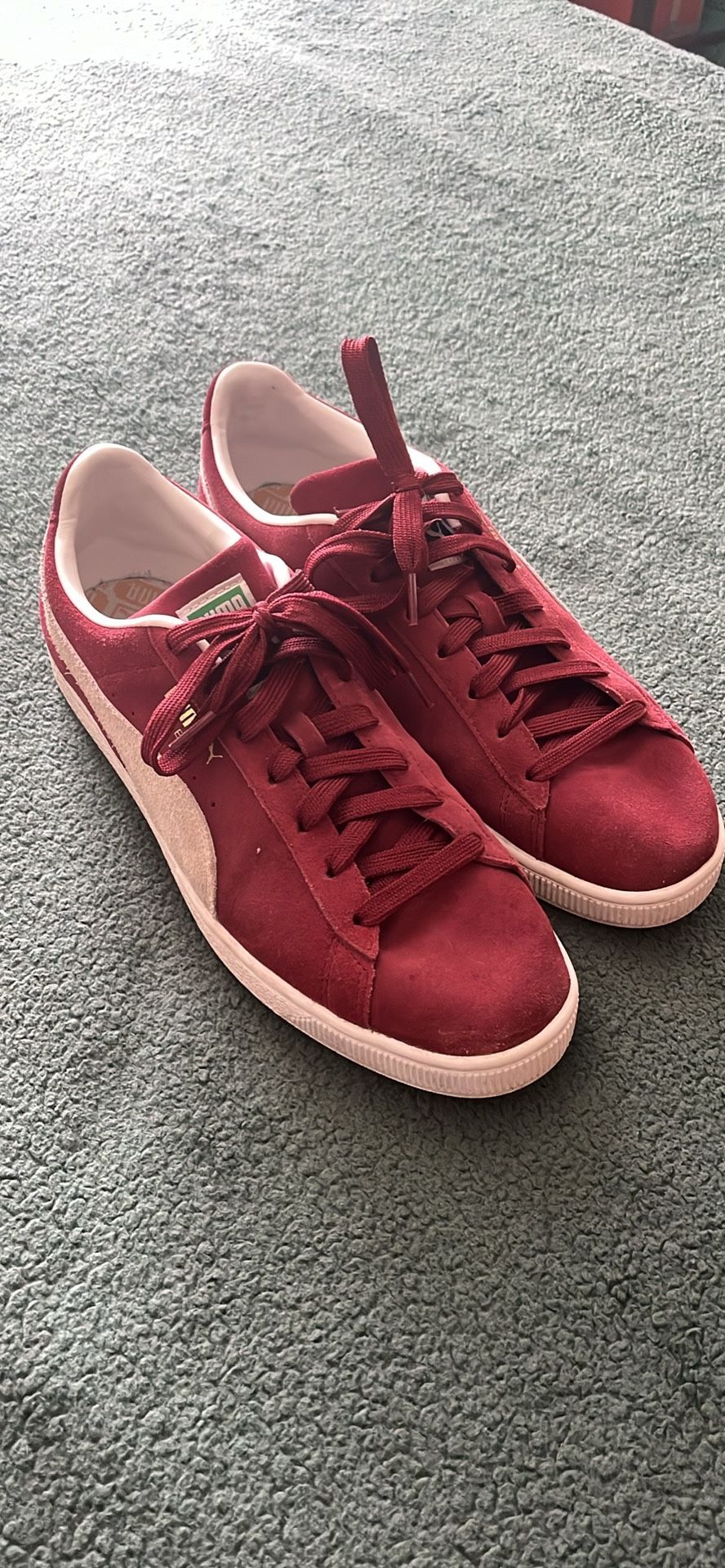 Pumas