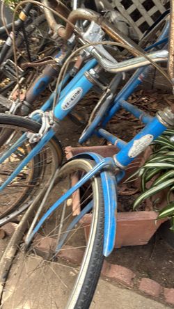 Vintage bikes