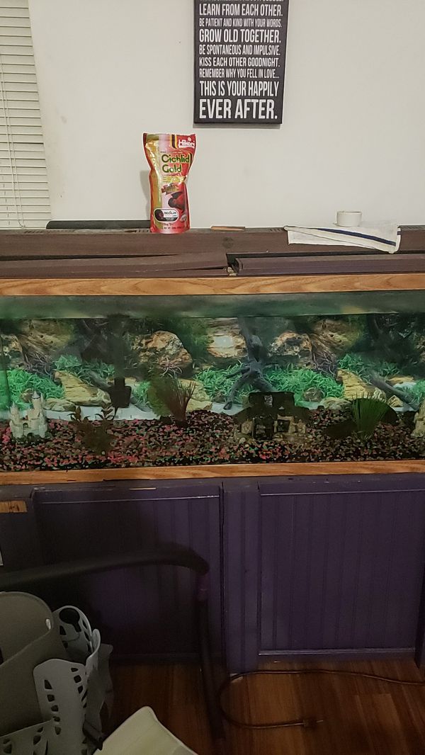 Fish tank for Sale in Baltimore, MD OfferUp