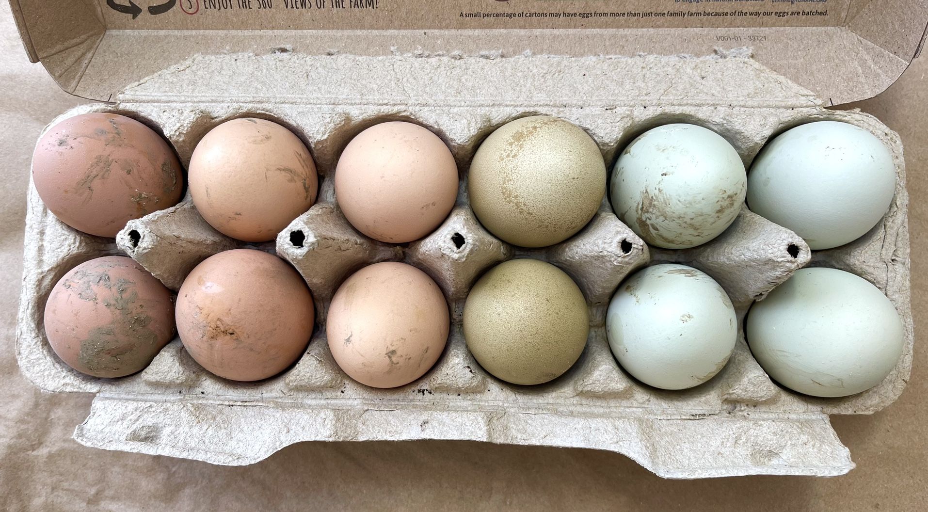 Farm Fresh Organic-fed Chicken Eggs