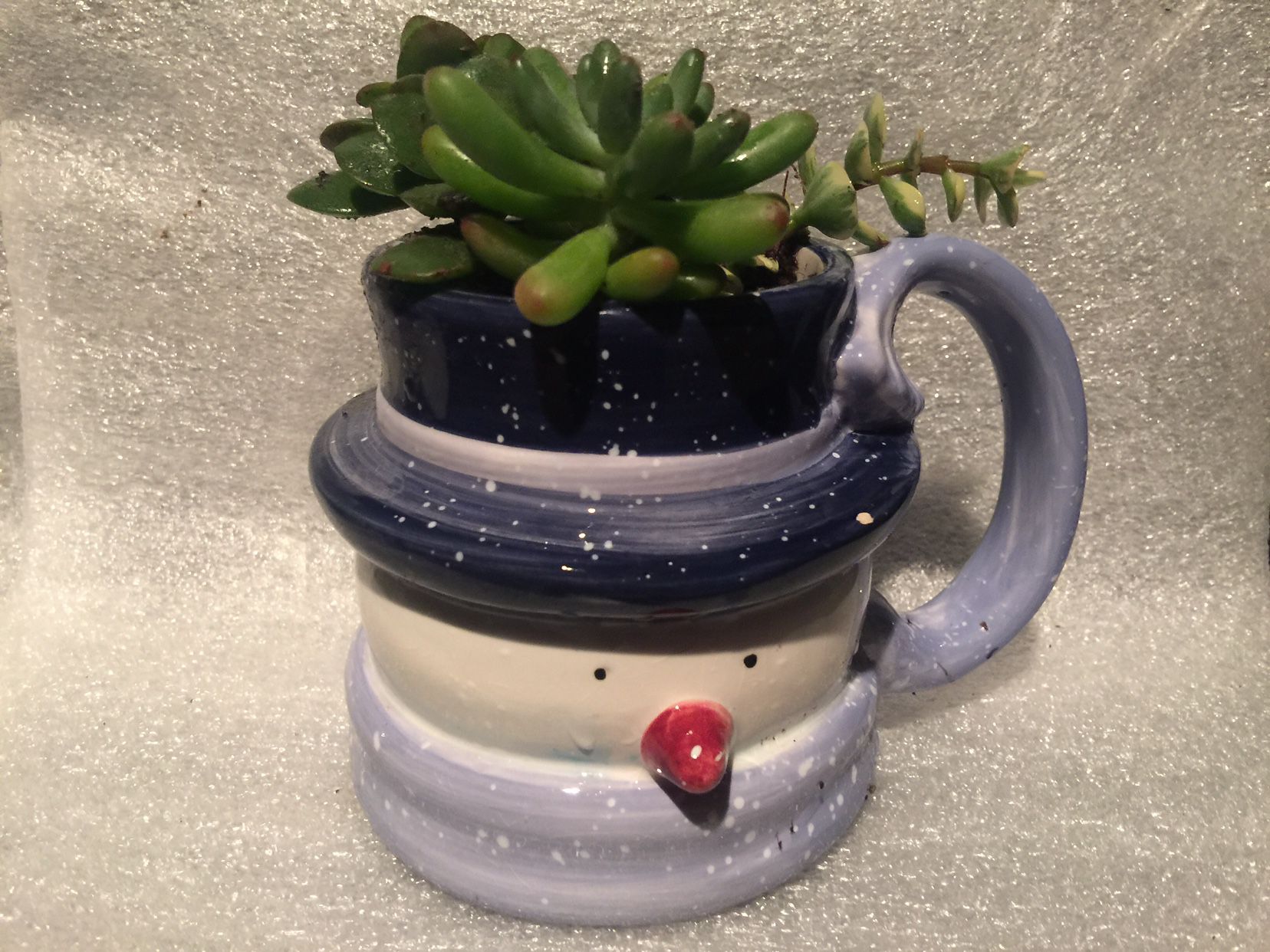 Mr. Snowman Ceramic Cup With Succulent Plants 🎄🤶🏽