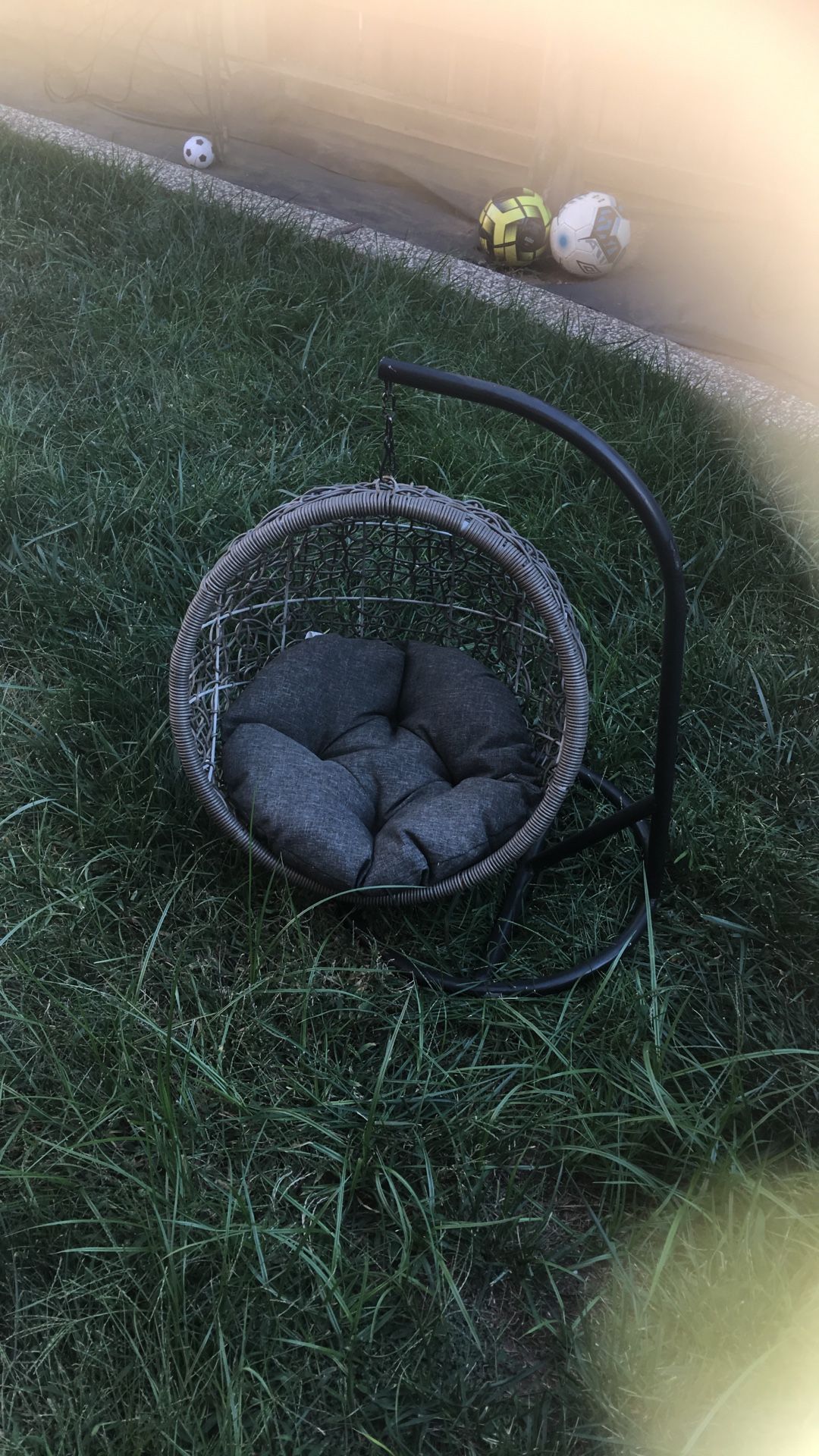 Doggy Swing Seating