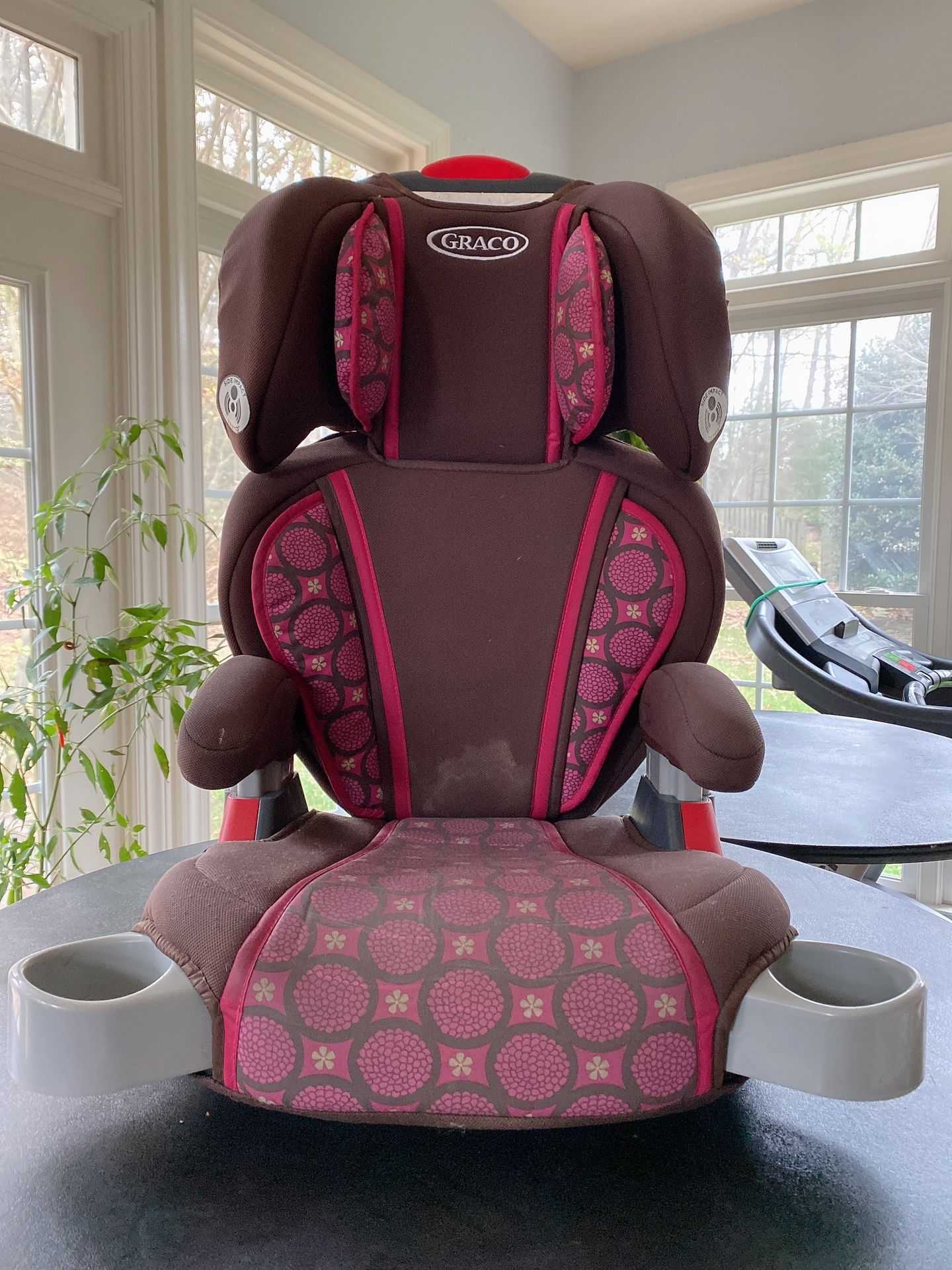 GRACO Booster Car Seat