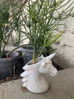 Ceramic unicorn