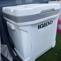 Igloo Cooler – Great Condition