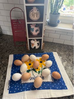 Farm Fresh Chicken and Exotic Guinea Fowl Eggs Local Pickup