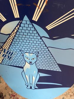 Burton Superfly Snowboard designed By Cara-Beth Burnside 139 for