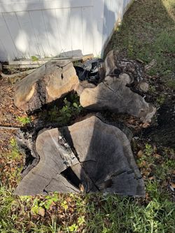 Free Fire Wood Fire Pit Smoker Oak