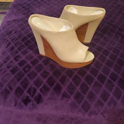Wedge Shoes 