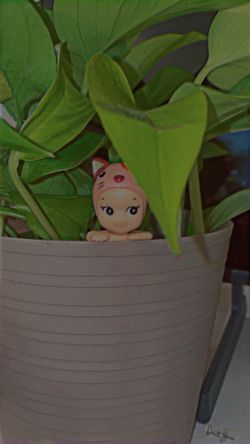 Cat Life Song Angel Hippers