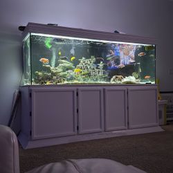 250 Gallon 7ft Aquarium Fish Tank $2500