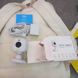 Blink Mini 2
