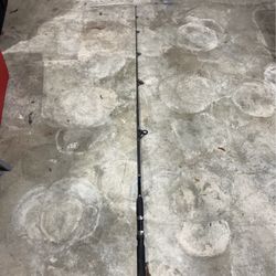 R2F Ready 2 Fish Fishing Pole